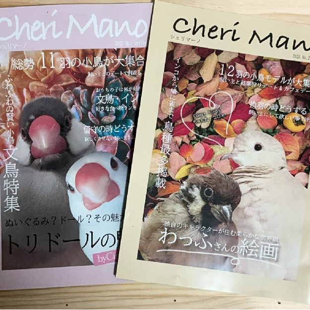 小鳥ファッション誌通販サイト