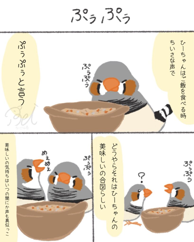 文鳥たちは自由。キンカたちは愛が深い。ぷぅぷぅ