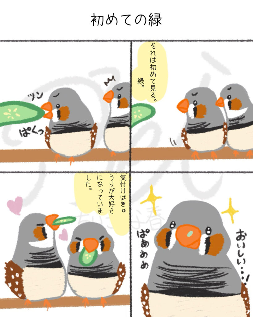 文鳥たちは自由。キンカたちは愛が深い。第7話「初めての緑」ちいさな春