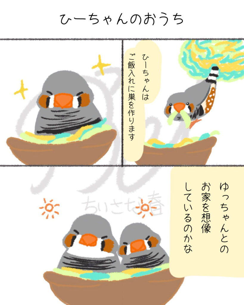 文鳥たちは自由。キンカたちは愛が深い。第11話「ひーちゃんのおうち」