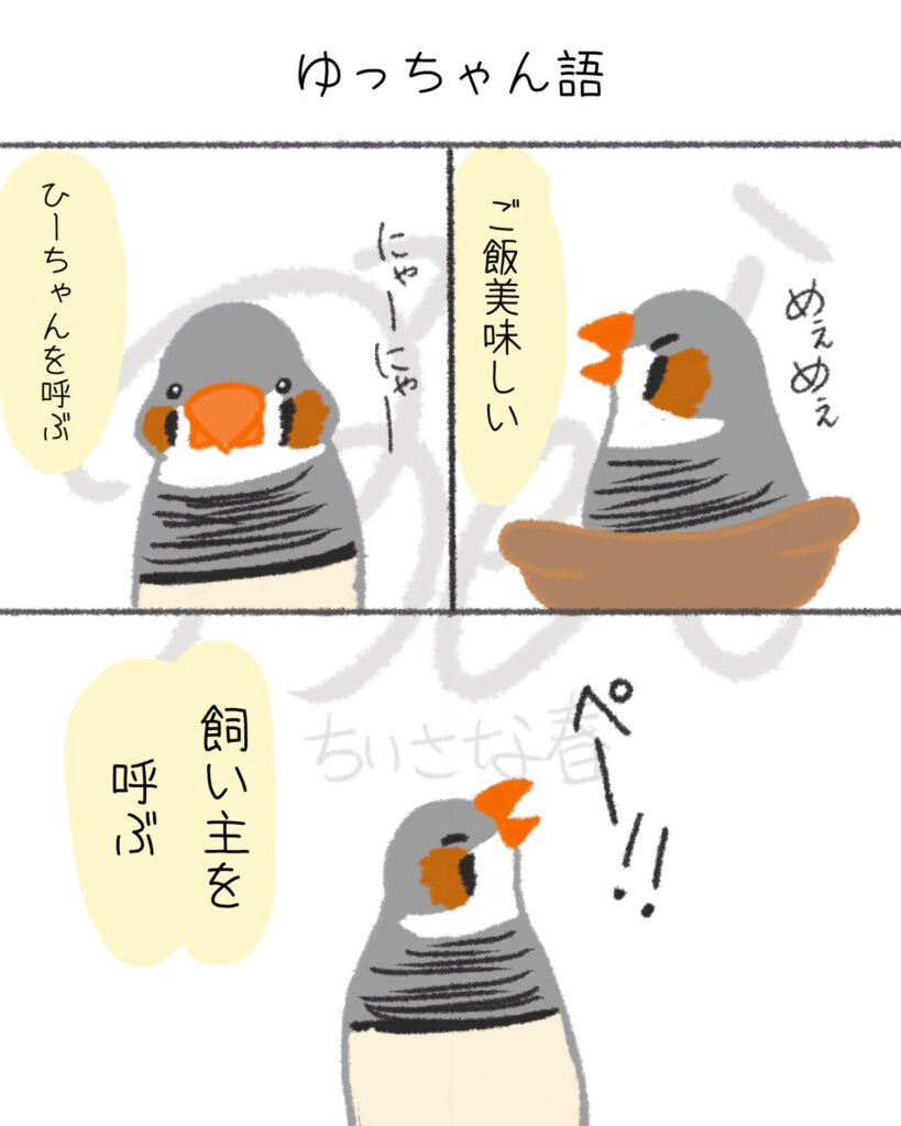 文鳥たちは自由。キンカたちは愛が深い。第13話「ゆっちゃん語」