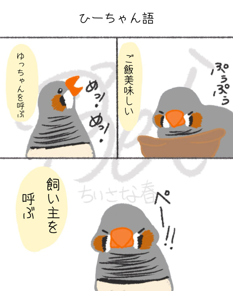 文鳥たちは自由。キンカたちは愛が深い。第14話「ひーちゃん語」