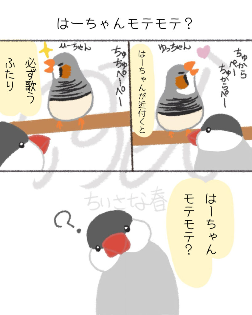 文鳥たちは自由。キンカたちは愛が深い。第15話「はーちゃんモテモテ？」