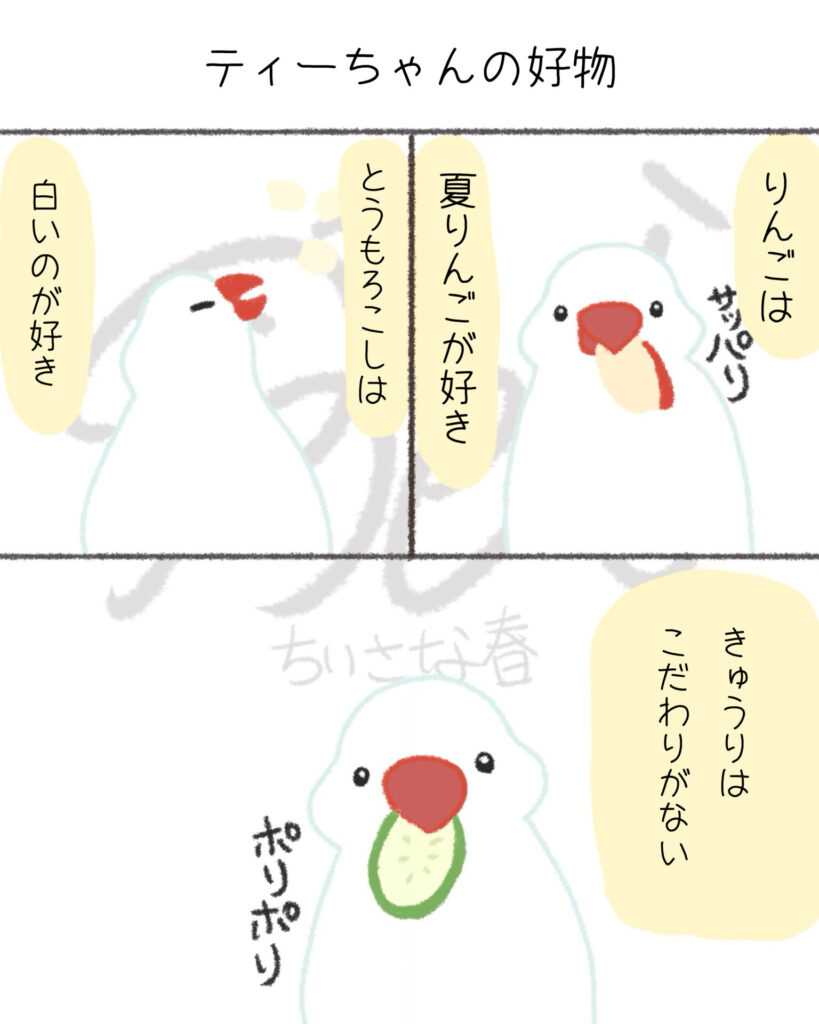 文鳥たちは自由。キンカたちは愛が深い。第16話「ティーちゃんの好物」
