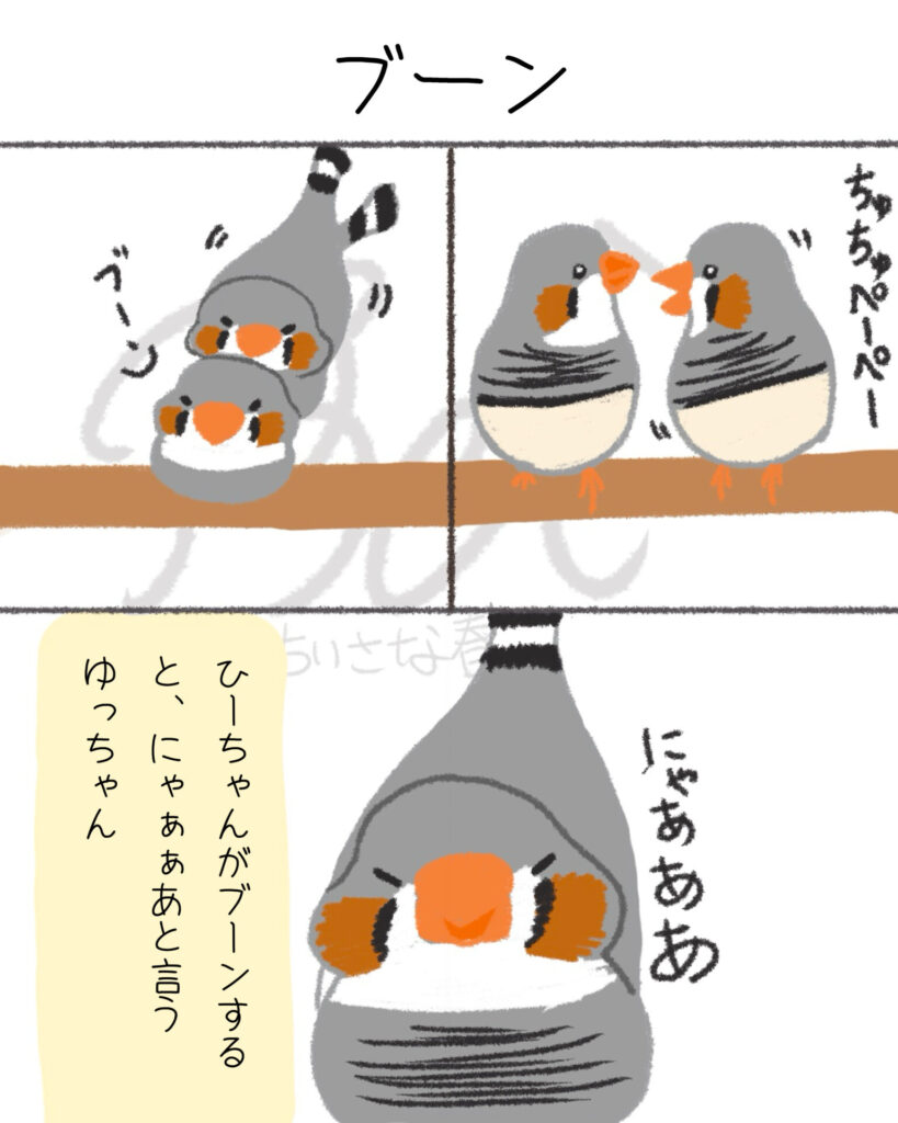 文鳥たちは自由。キンカたちは愛が深い。第17話「ブーン」