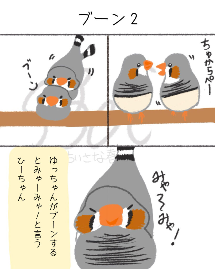 文鳥たちは自由。キンカたちは愛が深い。第18話「ブーン2」